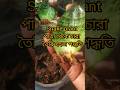 snake plant propagation by leaf cuttings#garden #shotrs #snakeplant #minivlog