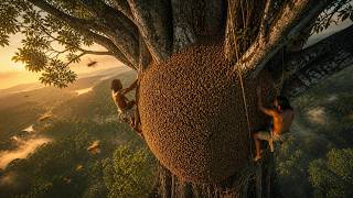 Brave Man Risks His Life Climbing a Giant Tree for Wild Honey! 🍯🌳