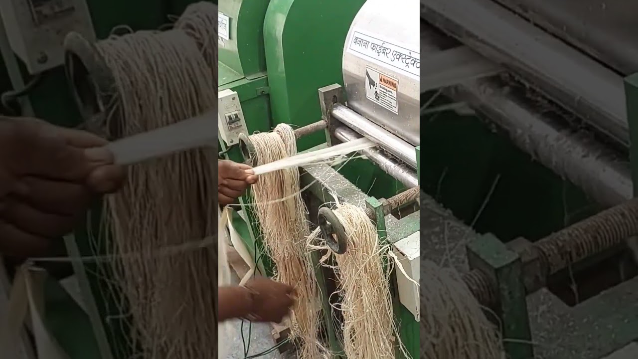Banana Fiber Extractor