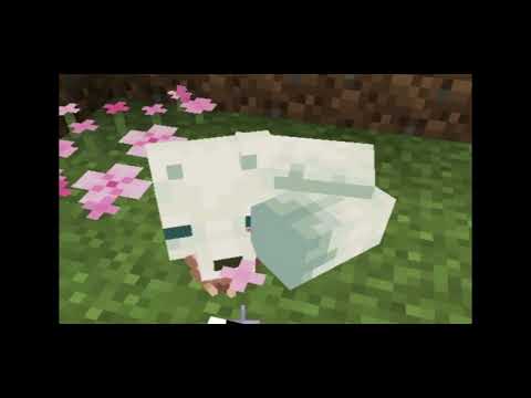 Yo Bunny - Ugly Andz x Prodbycpkshawn