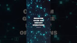 Quantum Computing &amp; Qubits | TerraNova