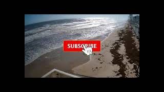 2024 Sargassum Monitoring® Official - USA - Florida - Volusia County