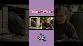 Cái Con Trang Này Lười Chảy Thây