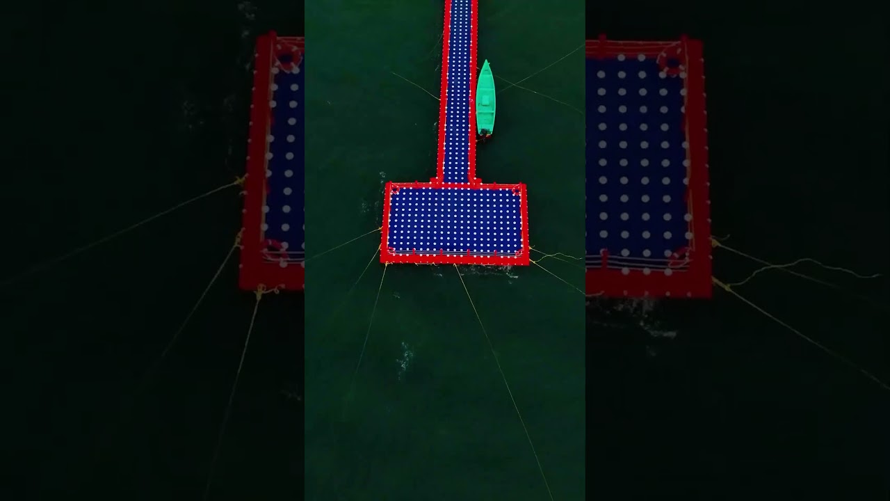 Floating Bridge at Kuzhupilly Beach, Kochi