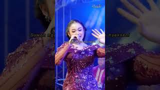 Cundamani  Niken Salindry Ft Cdanursari Everywhere story storywa story60detik storydangdut