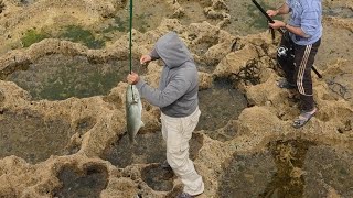 عبد الفتاح رايس مبتدئ يصطاد أول سمكة وزنها 3 كلغ واووووو.