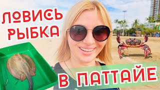 видео: Утренняя прогулка по южному Джомтьену. Улов рыбаков на пляже. Цены на краба, аренду лежаков и сапов. картинка: Утренняя прогулка по южному Джомтьену. Улов рыбаков на пляже. Цены на краба, аренду лежаков и сапов.