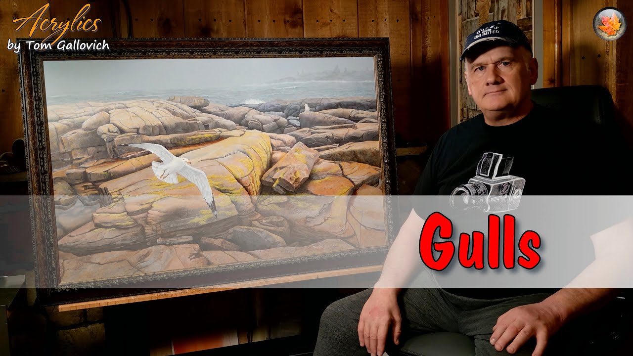 Ring Billed Gulls - Framed