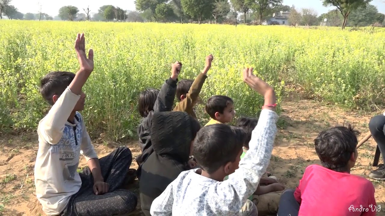 Rajasthani comedy 