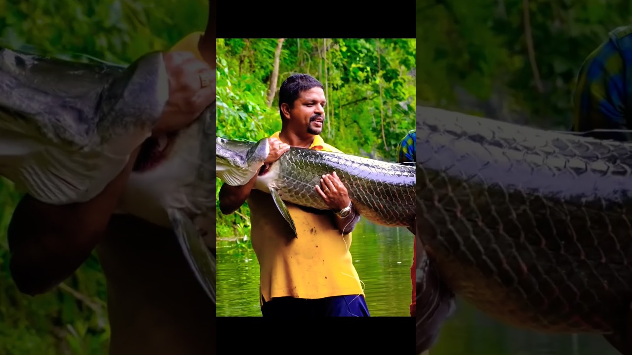 Costly aana monster fish-ah‼️ 