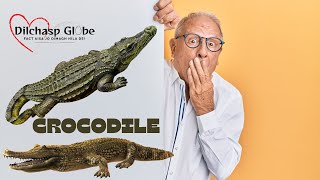 Crocodile Amazing Informative Facts By Dilchasp Globe