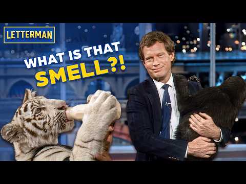 The Jack Hanna Chaos | David Letterman