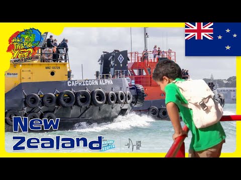 🚢💨 Kids Learn to Drive Tugboats & Race in Auckland! 🇳🇿🎉 | Boats for Kids | @travelkidsTVSHow