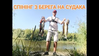 видео: Жор судака по малу розпочинається Спінінгова рибалка з берега. Судак по всюди і в близі і на глубині картинка: Жор судака по малу розпочинається Спінінгова рибалка з берега. Судак по всюди і в близі і на глубині