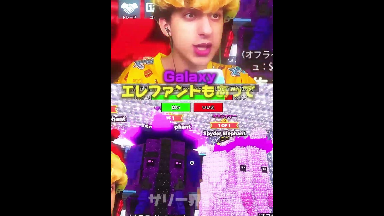 【26年夏 最新版】Sammy基地紹介!