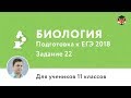 Биология | Подготовка к ЕГЭ 2018 | Задание 22