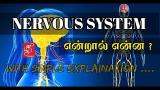 what is nervous system ? | CLASSIFICATION OF NERVOUS SYSTEM | #NERVOUSSYSTEM - IN TAMIL