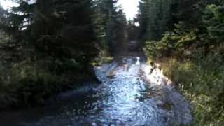 puddle jumping 2.MOV