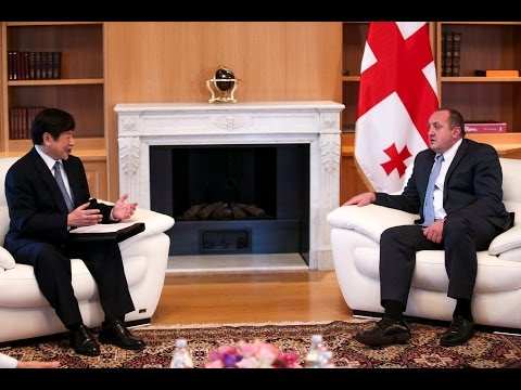 პრეზიდენტი იაპონიის ელჩს შეხვდა