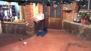 Muerte De Chispita 5