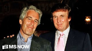 Trump's actions on Epstein files 'lead us to ask more questions': Symone