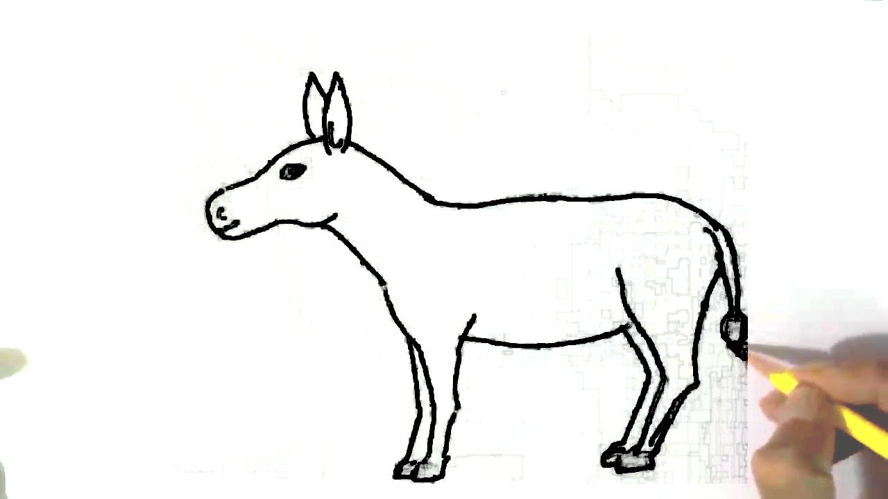 Cute Donkey Sketch Burro Drawing 