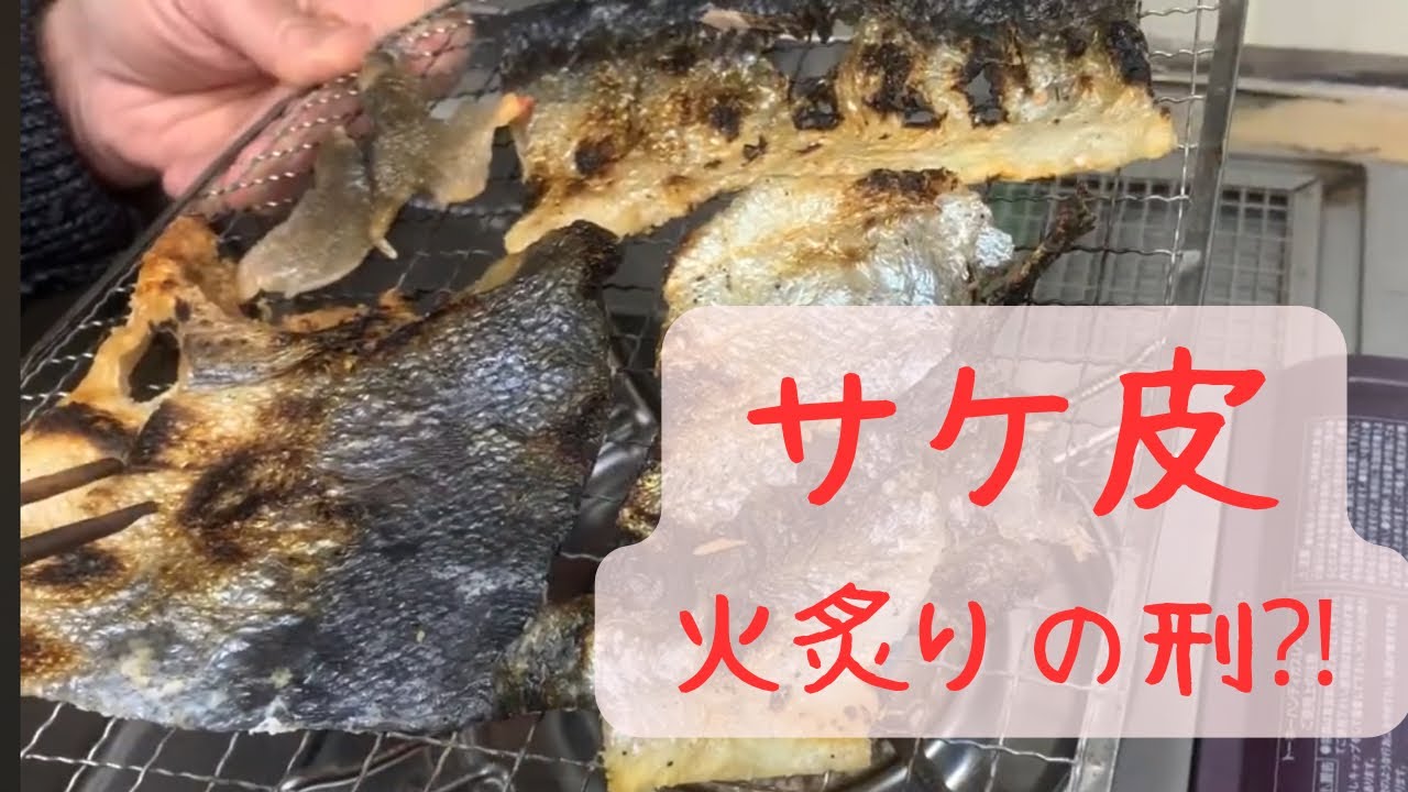 【鮭は皮がうまい!】 鮭の皮を焼くのはなぜ? 築地 昭和食品 2025.02.03 - YouTube