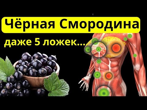 Вот Что ТВОРИТ черная Смородина. Даже 5 ложек.....