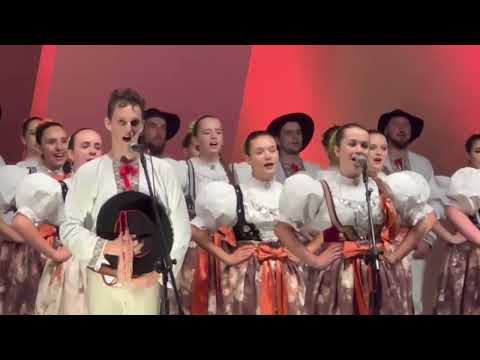 'Góralu czy Ci
