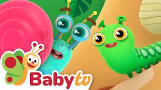 Het Geheim Van De Cocon Hoe Een Rups Een Vlinder Wordt Babytv
