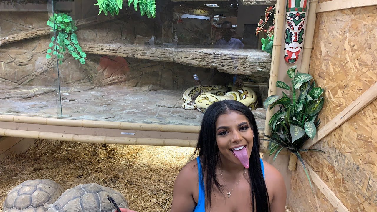 At Jay Prehistoric Pets YouTube