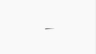 Flash animation