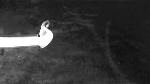 FlowViz visualizing stramlines