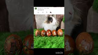 Download Lagu сняла наконец то #активприди #анукадавайка MP3 Download Lagu сняла наконец то #активприди #анукадавайка MP3