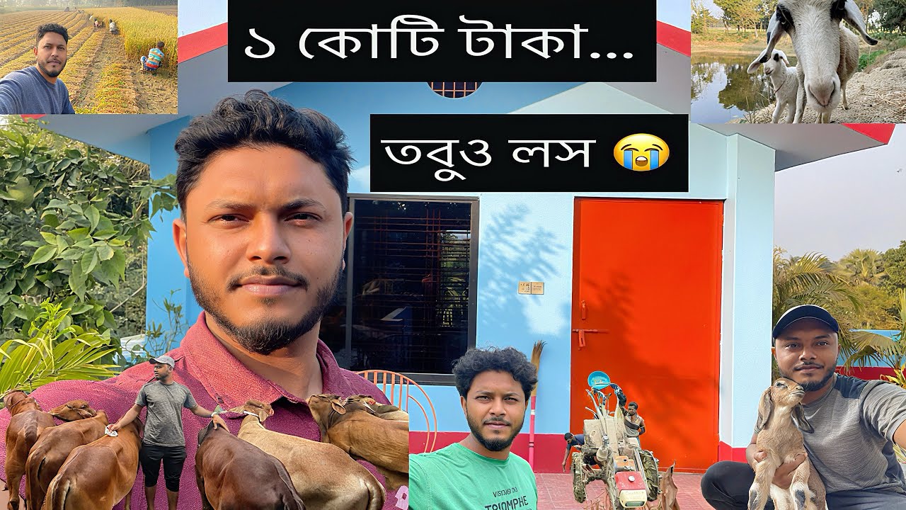 ৯ একর জমি, ১ কোটি টাকা ইনভেস্ট 😳 তবুও লস! কেন শুধু মুরগি আর গরুতেই লাভ?