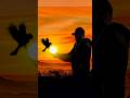 Entrega aquilo que te ilumina”#sunset #photography #shortsvideo