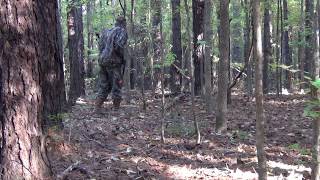 Hog Hunting in Alabama