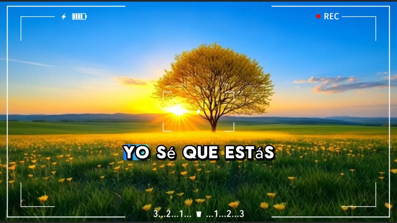 LEVANTO MIS MANOS - PODEROSAS ALABANZAS CRISTIANAS ADORACION MUSICA CRISTIANA DE ADORACION PARA