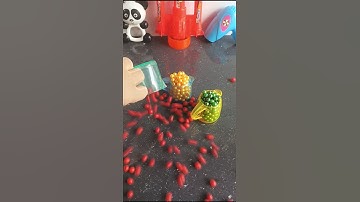 🔥Marble Run 201🌈ASMR Sound #beads #marble #stonebeads #cute #satisfying #reverse #funny #instagram