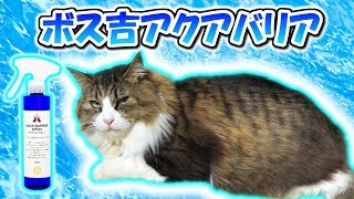 ボス猫アクアバリア！ペットのお肌をトータルケア　Boss cat’s Aqua barrier! Total care for your pet's skin!