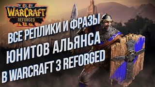 ФРАЗЫ И РЕПЛИКИ ЮНИТОВ АЛЬЯНСА В Warcraft III: Reforged