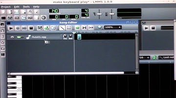 Lunix Mint with LMMS  setting to make a Keyboard operational