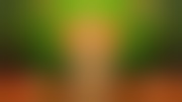 ayyappan songs whatsapp status video|sabarimala ayyappan song status|tamil whatsapp status|ayyappan