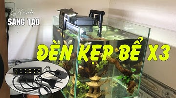 Đánh giá về đèn kẹp bể cá X3 dành cho bể thủy sinh vừa và nhỏ