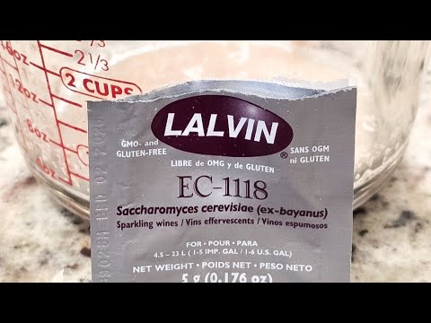 הכנת יין בבית 😱 בדיקת שמרי Lalvin EC-1118 למתחילים!