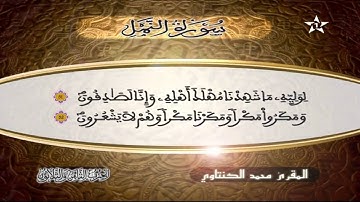 سورة النمل | المقرئ محمد الكنتاوي