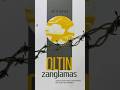 Shuhrat - Oltin zanglamas #book #roman #mutolaa #alisa_book #reading #music #love