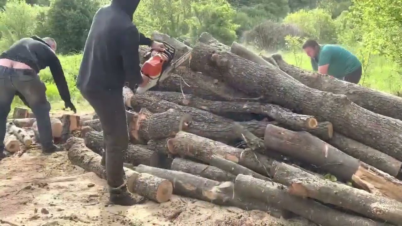 Ultimate Chainsaw Marathon | Stihl MS 361 & Stihl MS 462 C‑M