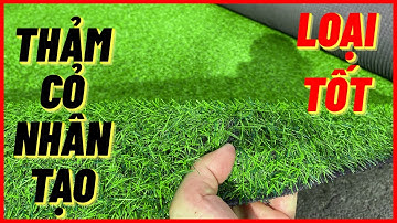 Thảm cỏ nhân tạo trang trí sân vườn sân bóng giá rẻ loại 2cm giá 2.990k