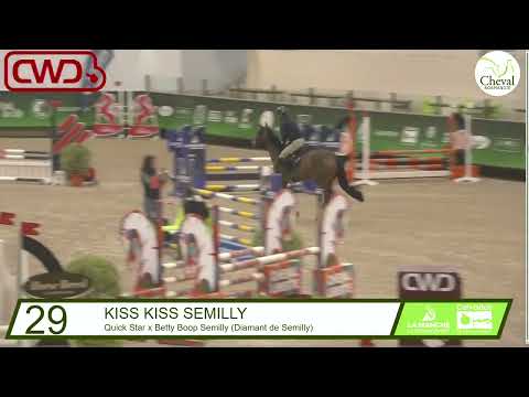 KISS KISS SEMILLY 4 ans/YO St Lô